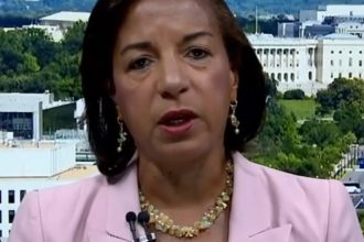 susan-rice-claims-trump-will-carry-out-‘mass-expulsions-of-american-citizens’-(video)