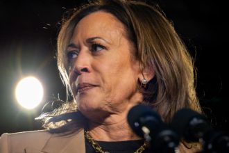 kamala-harris’-post-about-constitution-backfires-as-internet-sees-immediate-issue