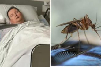 mosquito-bite-puts-dad-through-hell-after-giving-him-nasty-disease,-and-cases-are-rising