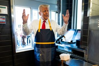 is-this-the-lamest,-most-hysterical-reaction-to-trump’s-mcdonald’s-drive-thru-event?