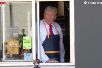 the-press-can’t-handle-trump’s-brilliant-display-of-retail-politics-at-mcdonald’s-drive-through