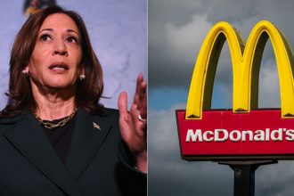 where-is-the-proof?-mcdonald’s-finally-says-why-kamala-harris-can’t-verify-working-for-them