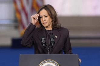 dem-strategist:-a-‘household-name’-isn’t-giving-to-the-dnc-anymore-because-of-the-kamala-debacle