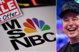 is-elon-musk-buying-msnbc?-social-media-world-jumps-to-conclusions-after-noticing-familiar-question-from-billionaire