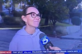 local-claims-“like-a-hundred-people”-were-looting-affluent-neighborhood-in-la-–-20-suspects-arrested-as-of-thursday-morning-(video)