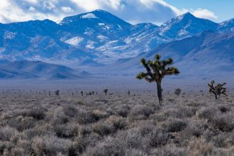 nevada-residents-furious-after-learning-what-was-bulldozed-to-make-room-for-‘green’-solar-farm