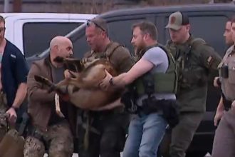 k9-shot-after-sniffing-out-alleged-cop-killer-in-dumpster,-us-marshals-have-a-moving-response-for-the-downed-officer