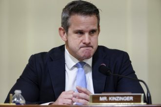 go-home,-bro,-you’re-drunk:-adam-kinzinger’s-‘trigger-maga’-game-backfires-in-a-most-spectacular-way