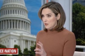 margaret-brennan’s-face-plant-on-free-speech:-welcome-to-face-the-nonsense