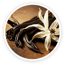 Vanilla-Planifolia-Fruit-Extract.png
